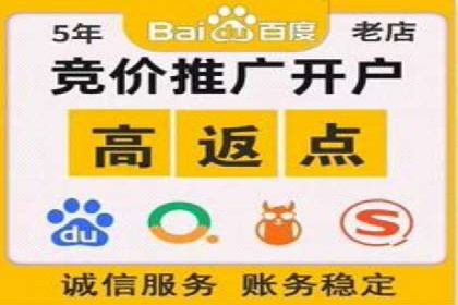 实战解析：SEM推广代运营案例
